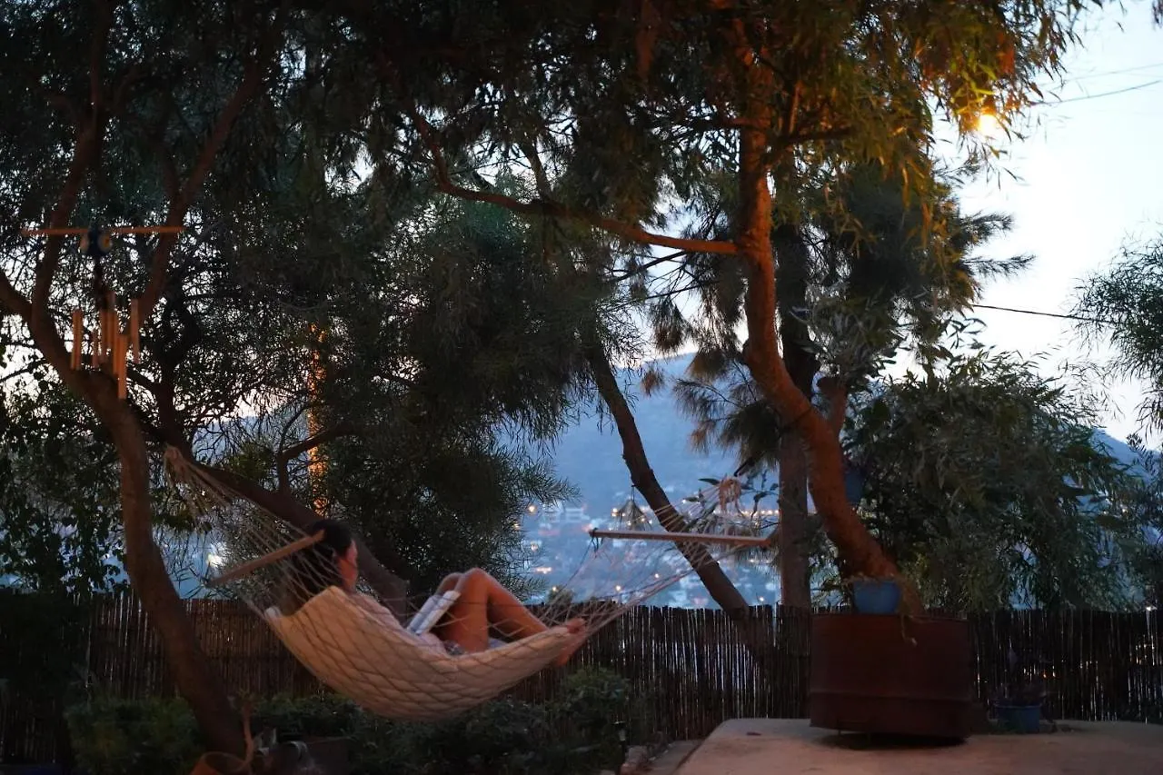 Homestay Matiz Tuerkbuekue (Adults Only) Apartment