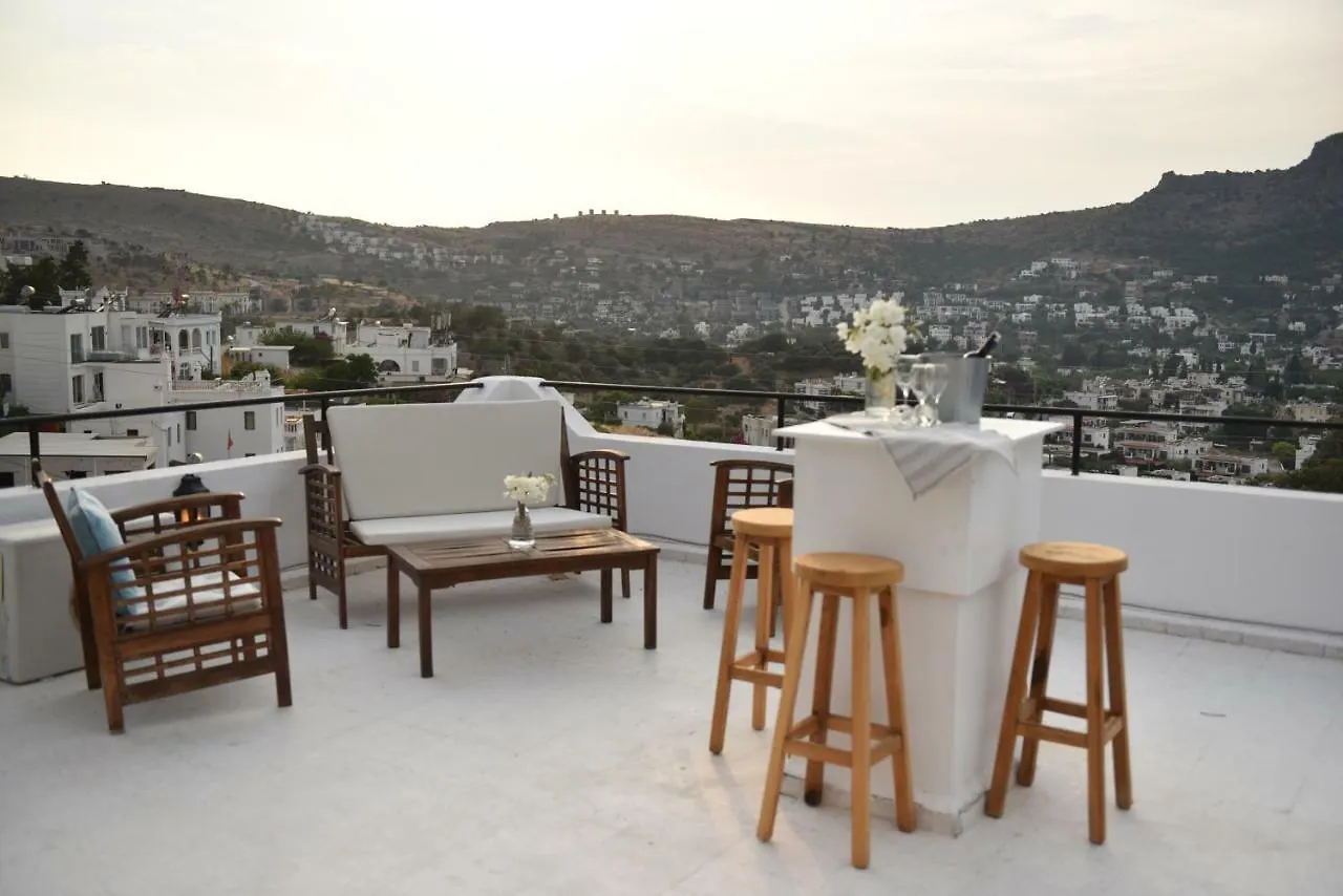 Homestay Matiz Tuerkbuekue (Adults Only) Apartment